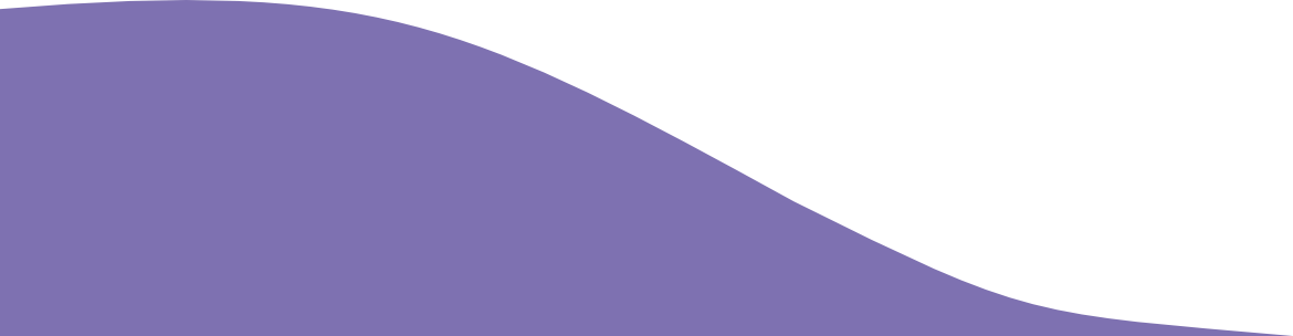 Image 07